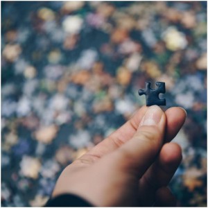 hand-holding-puzzle-piece_925x-1-300x300 hand-holding-puzzle-piece_925x-1-300x300